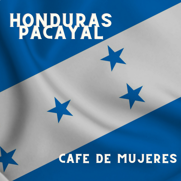 Honduras Pacayal--Cafe De Mujeres