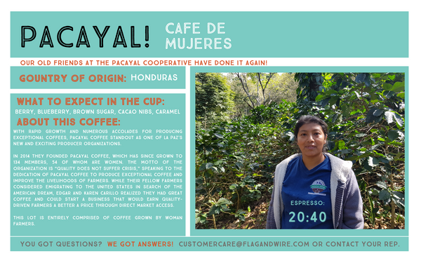 Honduras Pacayal--Cafe De Mujeres